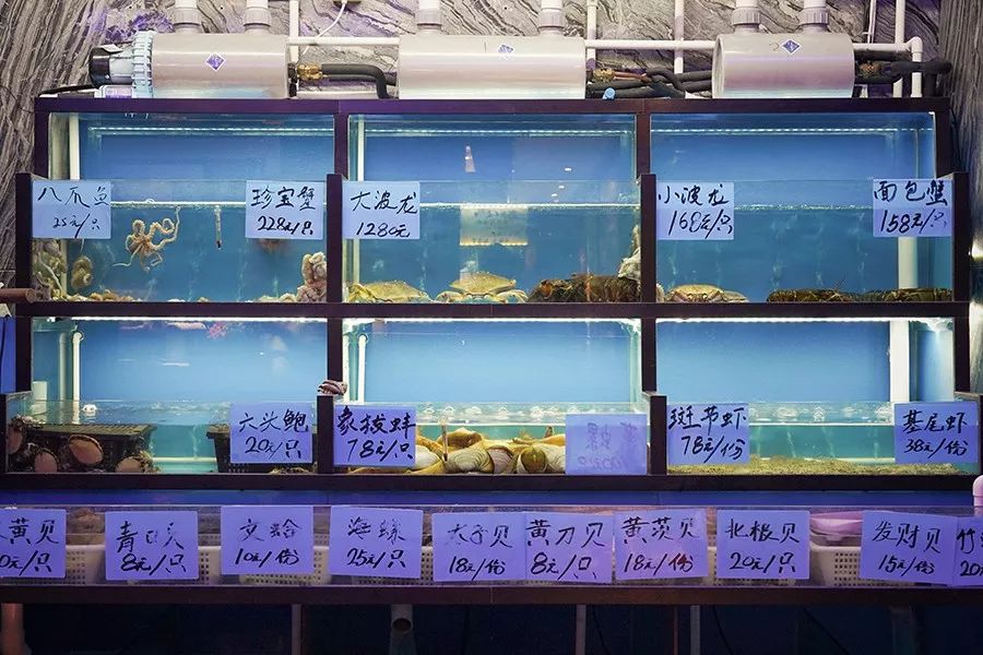 简易龙虾汤泡饭,打边炉花胶鸡汤泡饭做法