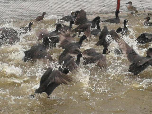 市场缺斤少两被揭穿,市场供不应求