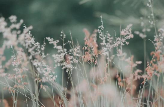 聪明女人投资自己,什么样的投资适合自己