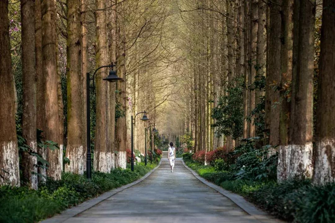 香格里拉经典风景,香格里拉自然风景