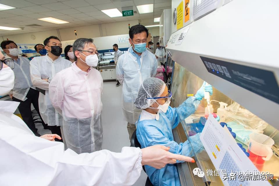 去新加坡需要打哪几种疫苗,去新加坡又要打疫苗了么