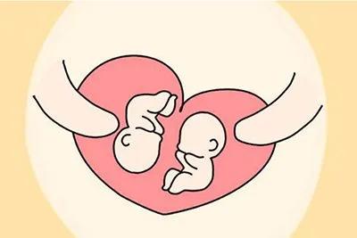 此双胎非彼双胎！话说双胎之双胎分类