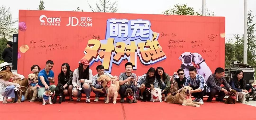 宠物医院一年能赚多少钱呢,看一次病花完一生积蓄