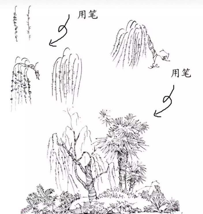 入门风景速写1000例临摹图,风景速写教你超简单的树木画法