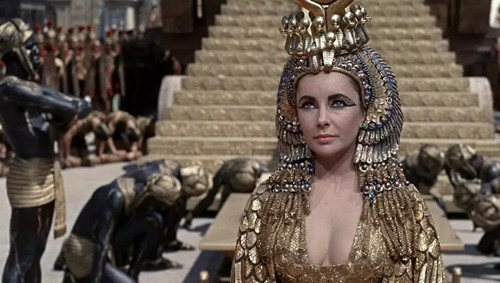 桉树精油科普,每个精油有什么区别