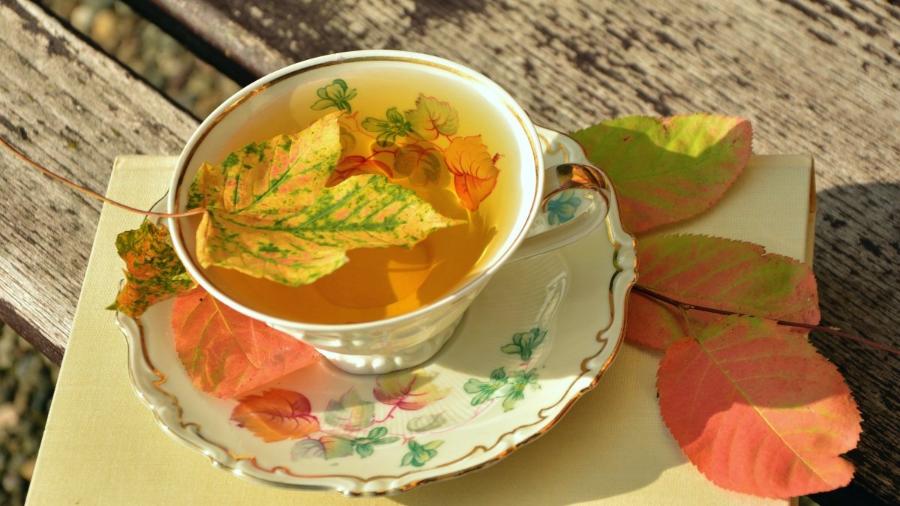 脸上有斑脏腑有瘀中医教你巧化斑,脸上有斑别烦恼老中医推荐2种