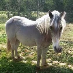 画漫画免费阅读,画小说漫画用什么工具