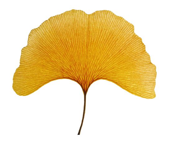 罗永浩锤子六周年,罗永浩重回锤子