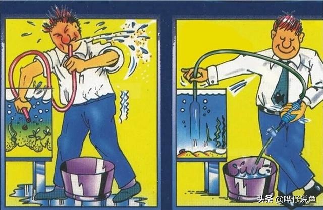 免换水鱼缸是真的不用换水吗,辟谣圆形鱼缸对鱼的危害