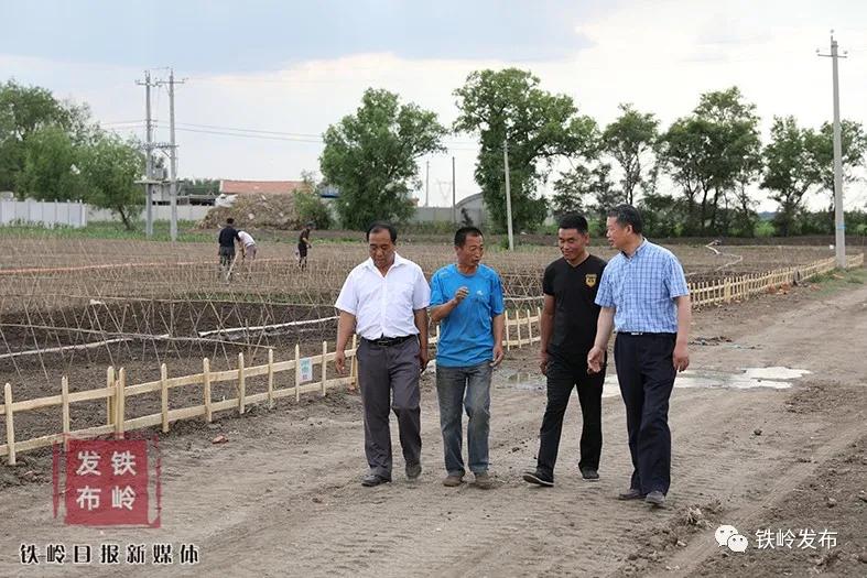 决战决胜驻村帮扶,驻村工作队全力决战决胜脱贫攻坚