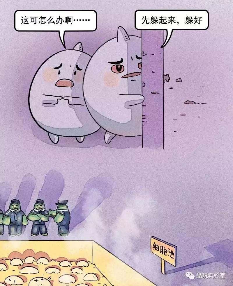 吃太多的糖会让你变胖,让你变丑变老的不是脂肪而是糖