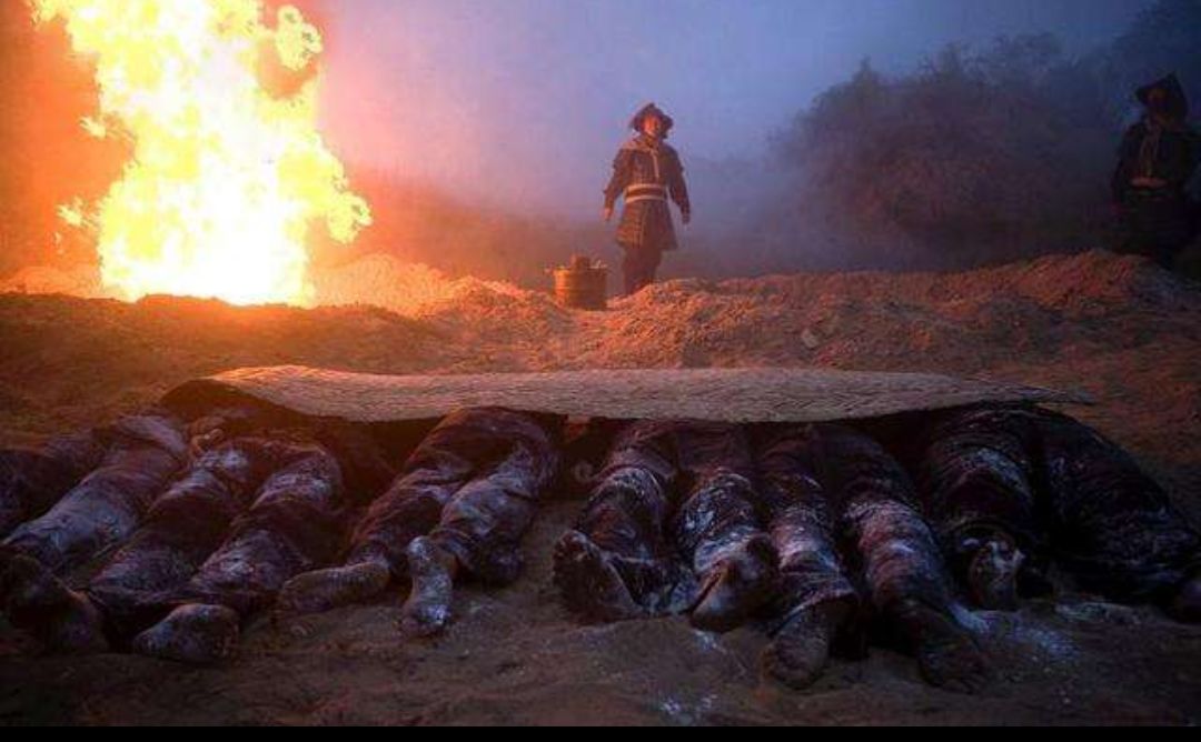 古代新型冠状病毒肺炎有什么症状,新型冠状肺炎是如何发生的