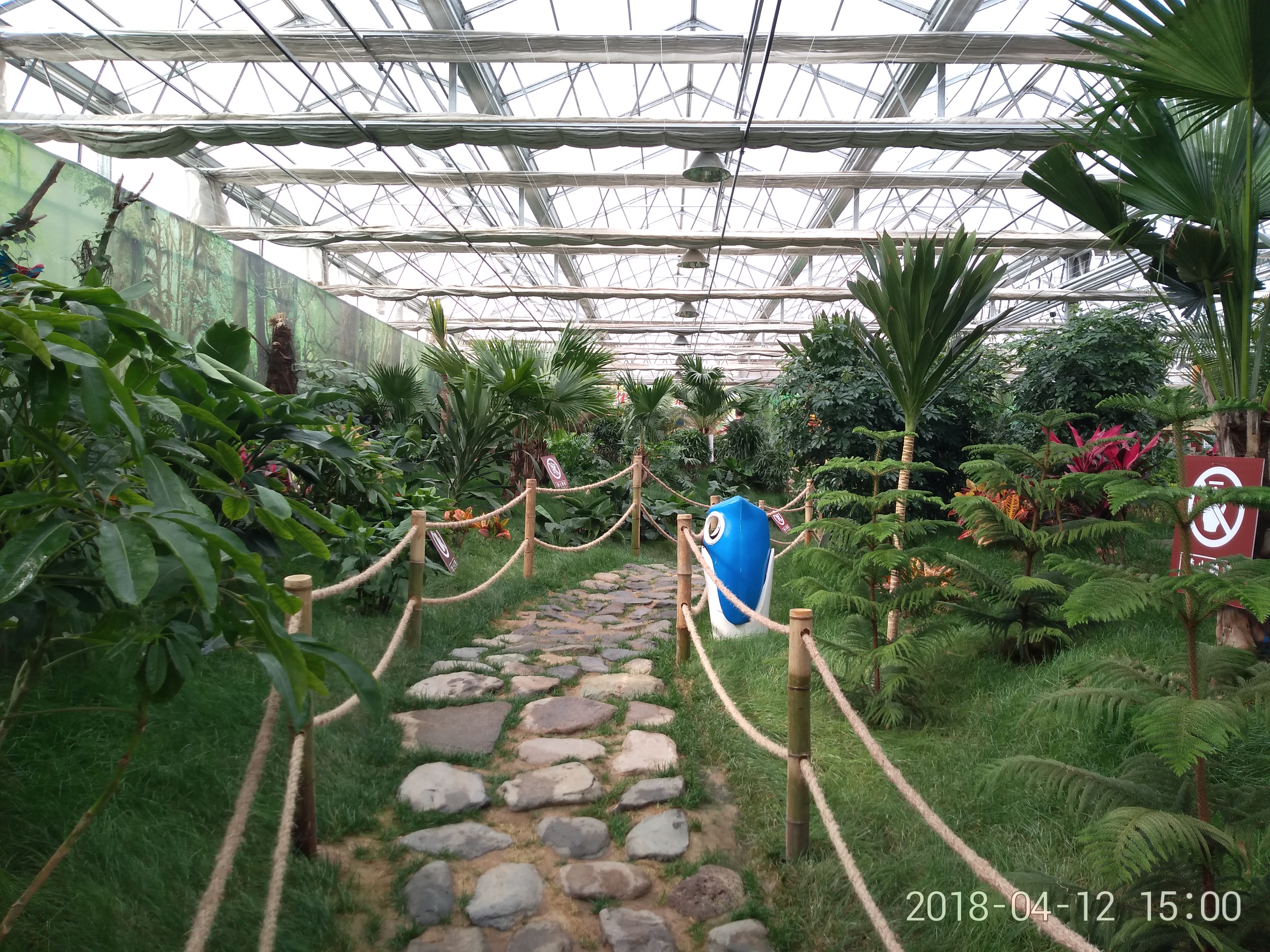 5万平方玻璃温室大棚需要多少钱,一亩日光温室大棚造价多少钱