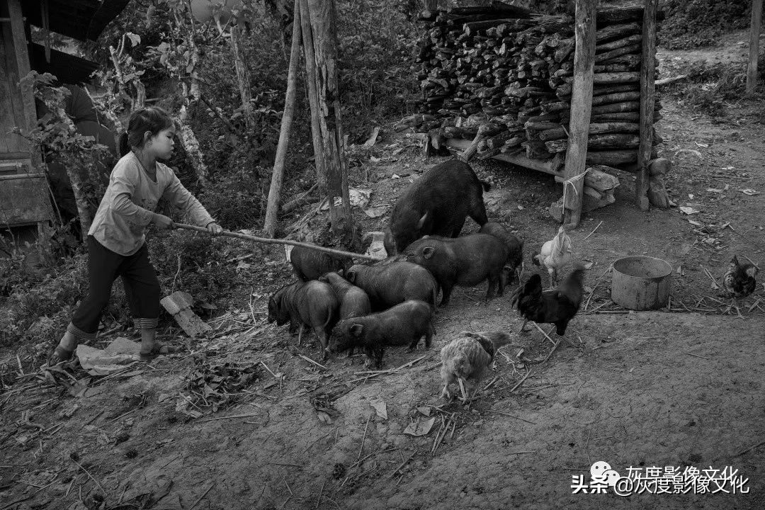 摄影人与自然和谐共生,摄影人像一生有爱