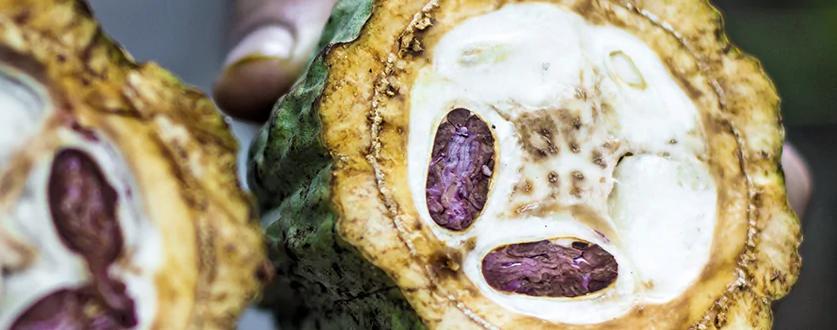 小巧克力球转动百亿美元,这家公司如何靠「送礼」逆袭中国市场?