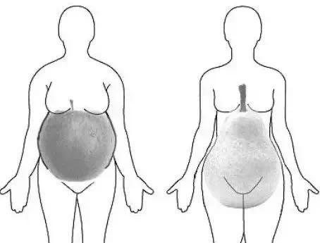 肥臀粗腿的“梨型身材”，该如何快速有效地减肥？这3招值得收藏