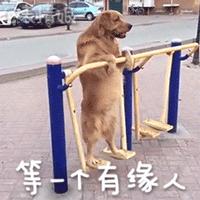 在家别出门,在家别出门完整版