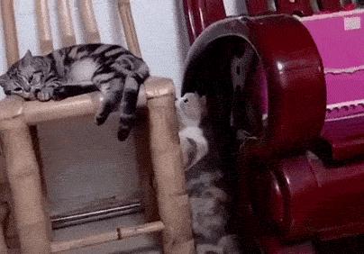 无聊的动图,无聊gif搞笑图