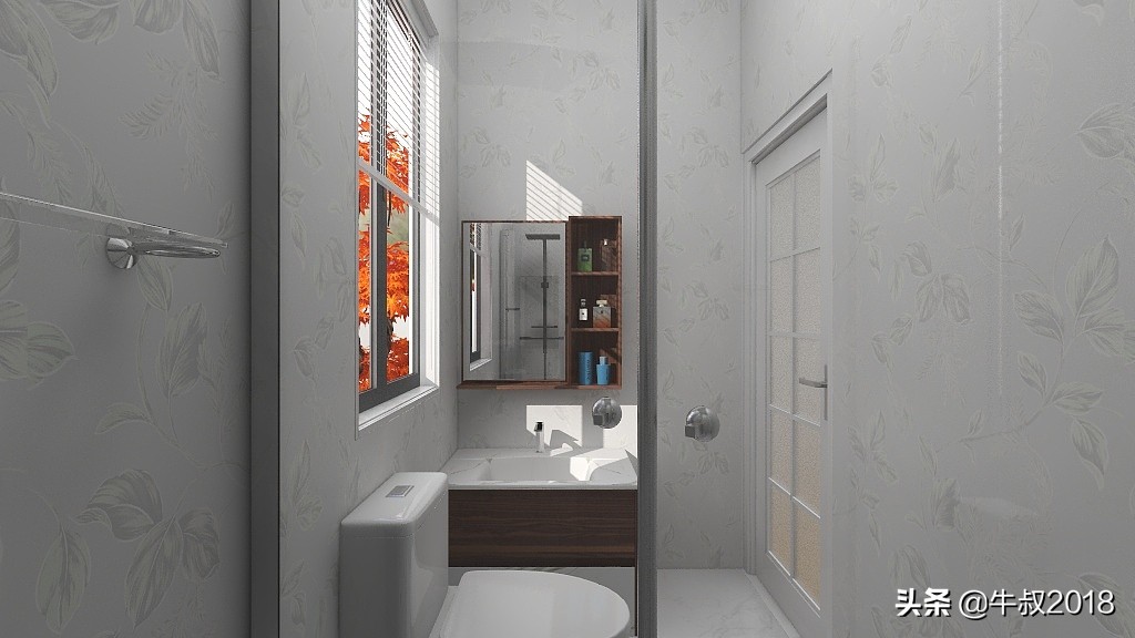 乡村养老别墅带庭院,农村简单养老房小户型设计