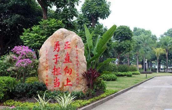 在一个学校读了9年怎么表达,在城南小学读书是种什么体验