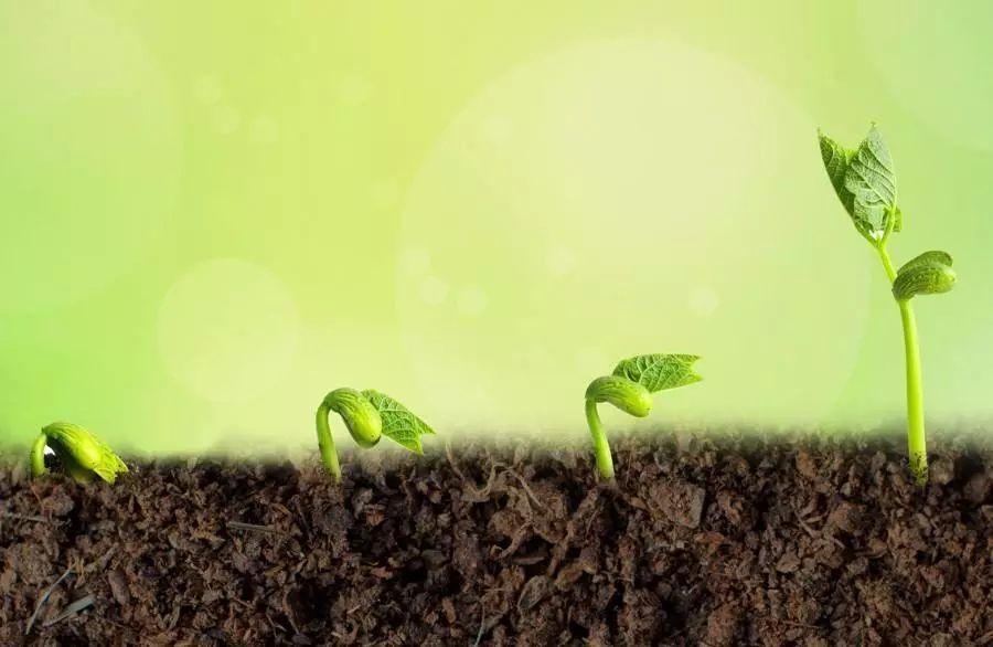 教育孩子要树立三观是哪三观啊,树立孩子的三观是哪三观