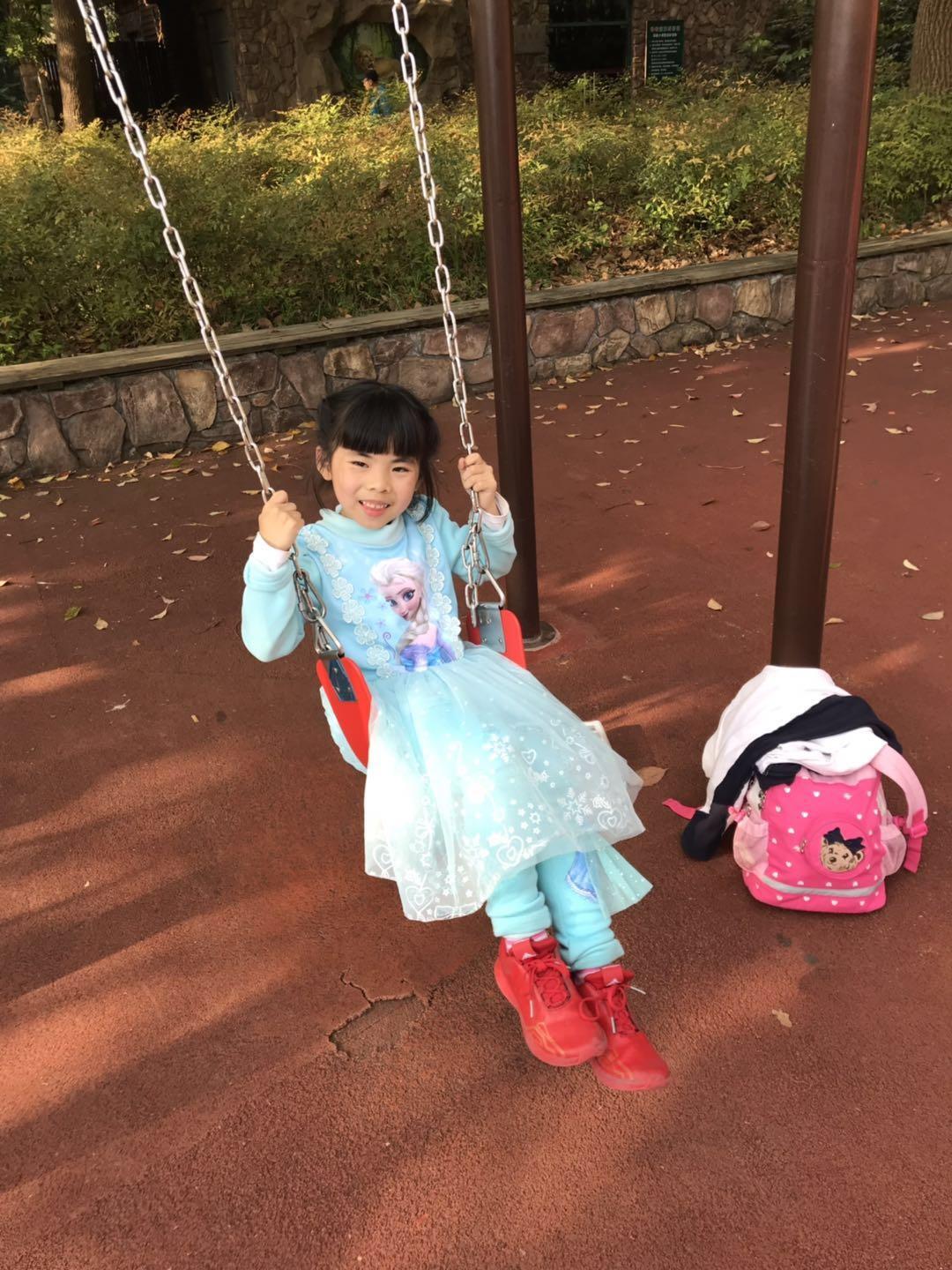 上海野生动物园太阳广场节目安排,上海野生动物园建议游玩时间