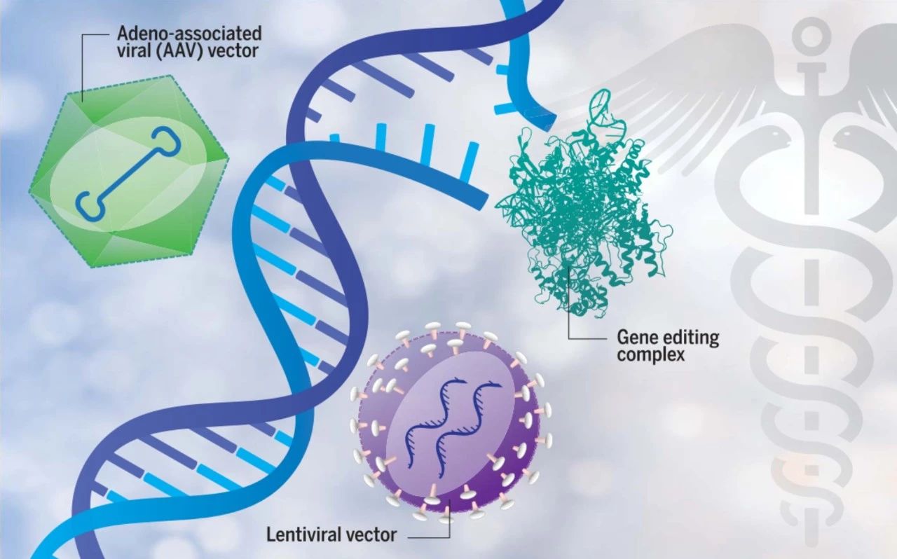 遗传性眼底疾病基因治疗最新突破,未来的基因治疗眼病