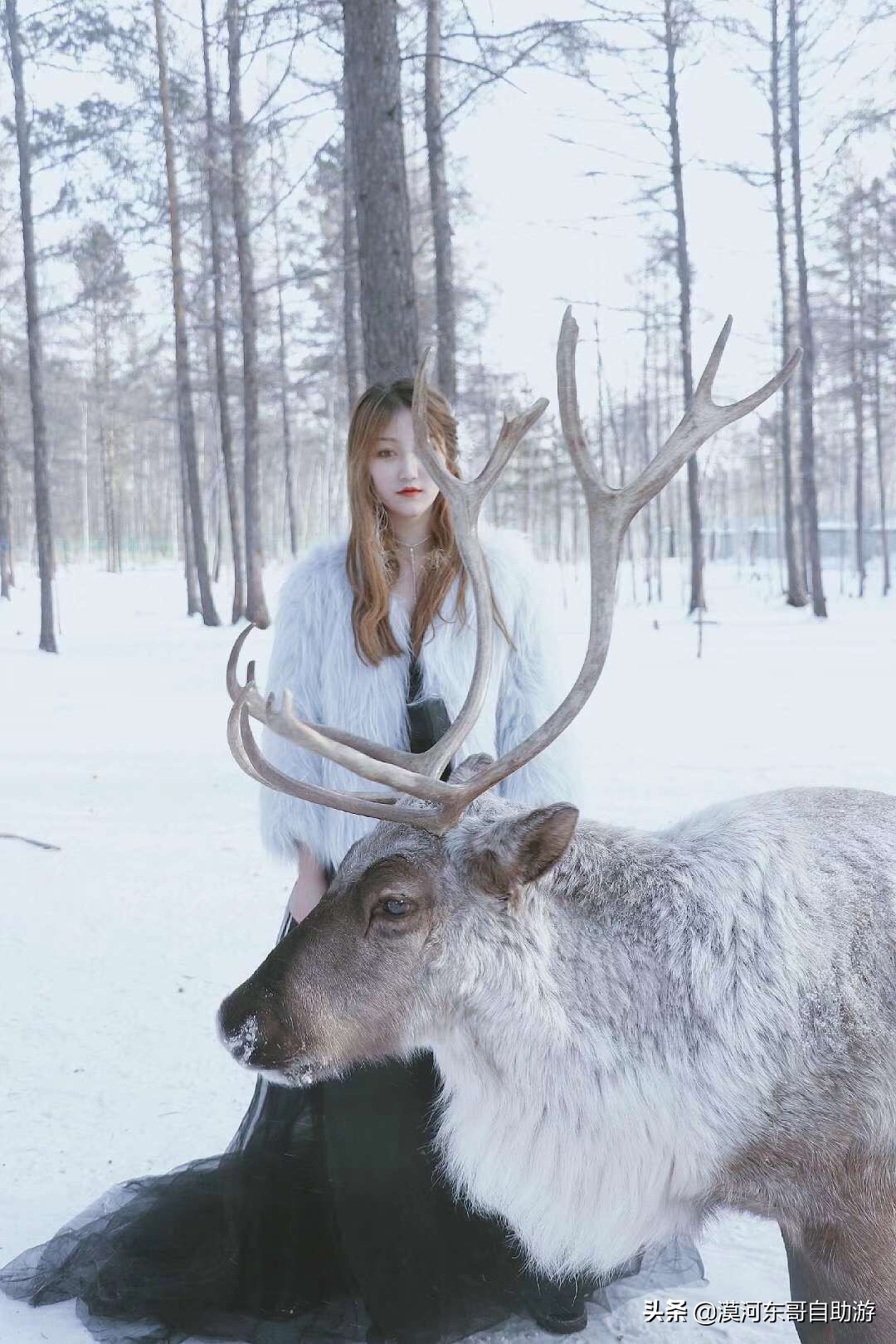 东北五日游漠河,漠河4天3夜旅游攻略