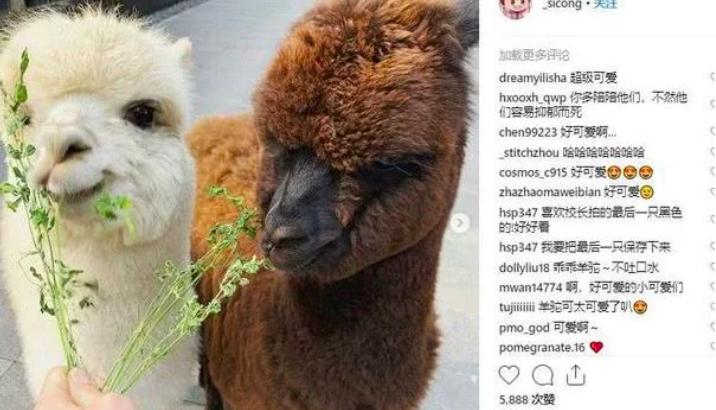 王思聪带女友买奢侈品,王思聪带神秘女朋友逛街