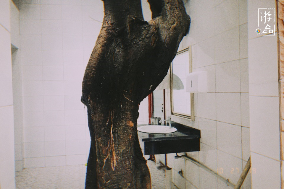 紧到说，重庆话最富有生命力的动词：解手，打王逛，达扑爬