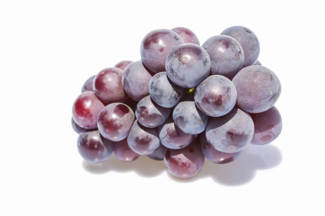 鍗佸牥瓒呭叏钄彍姘存灉,鍗佸牥鏂伴矞姘存灉