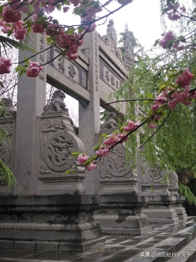 白马寺十八罗汉图,白马寺十八罗汉