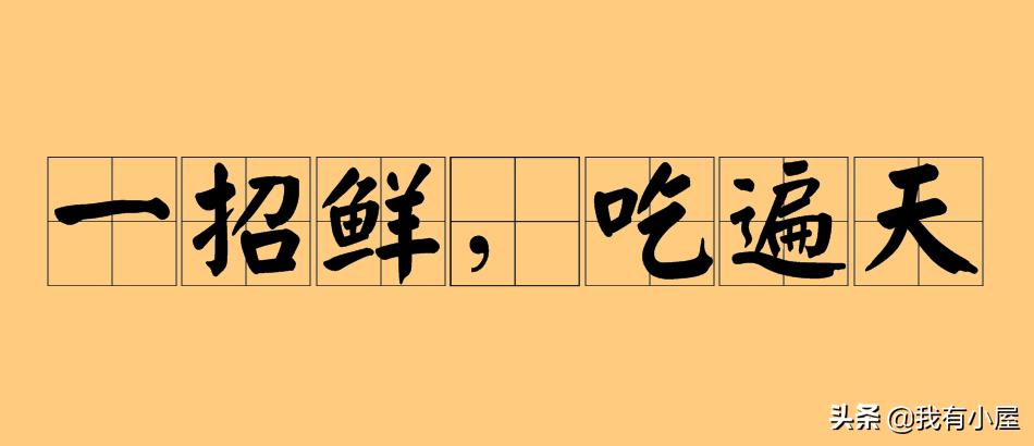抓住这波红利实现人生逆袭,抓住当下属于你的红利期