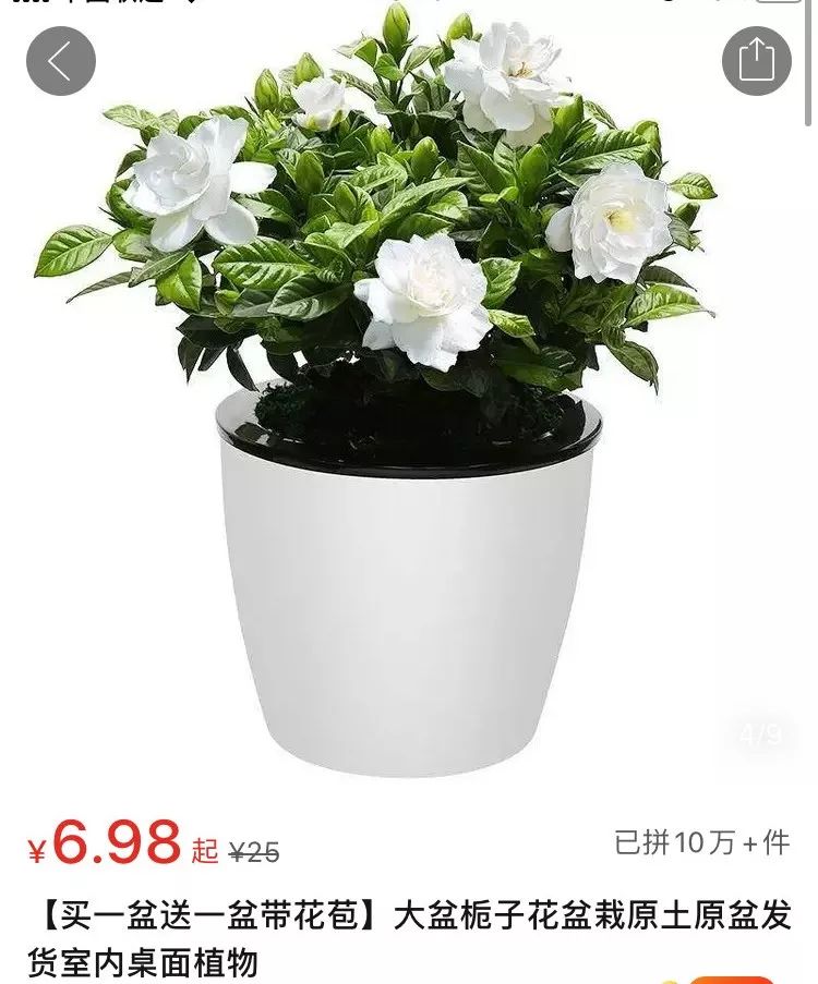 均价不超过十元的店铺,均价不超过10块钱的国货