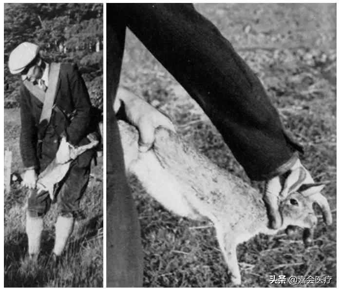 她被判处绞刑，吊了半小时却没死，这个医生说出了真相