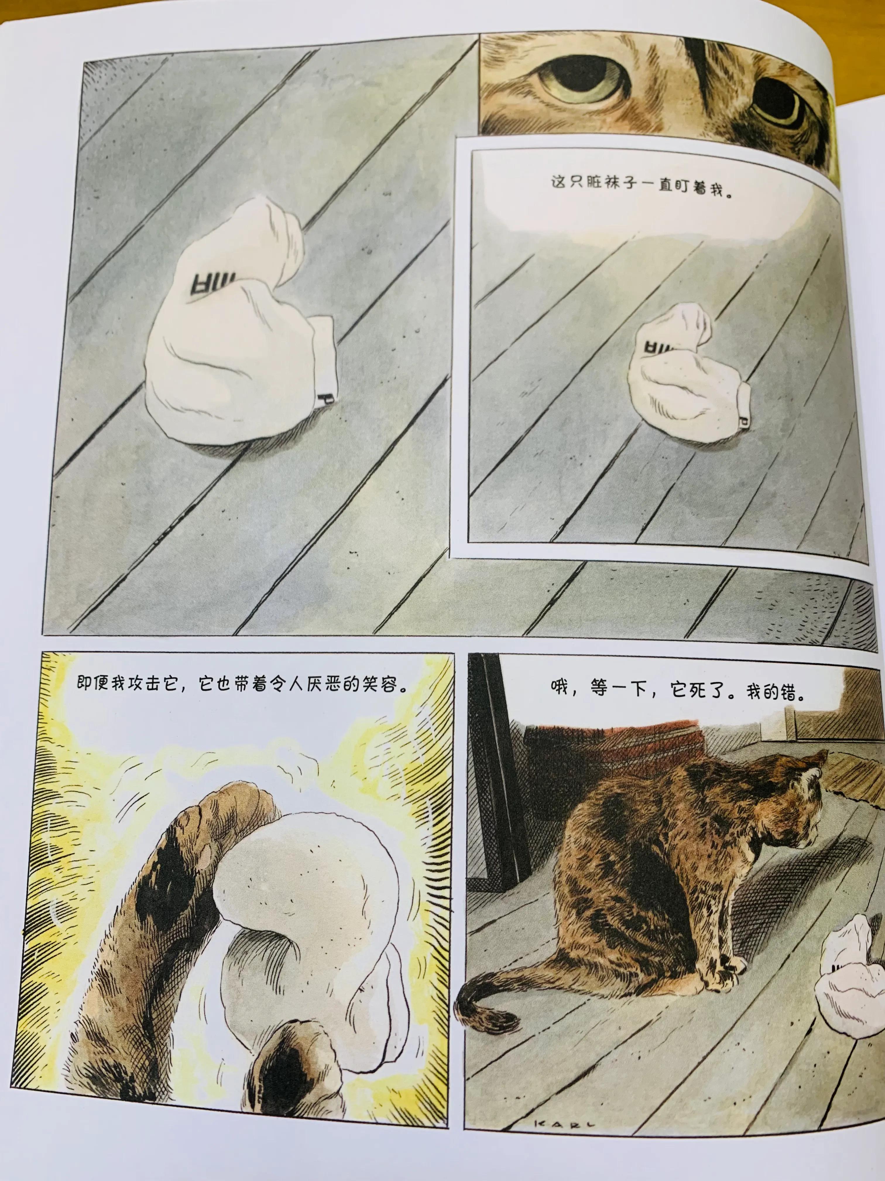 猫咪搞笑日常漫画,一个关于猫的搞笑漫画