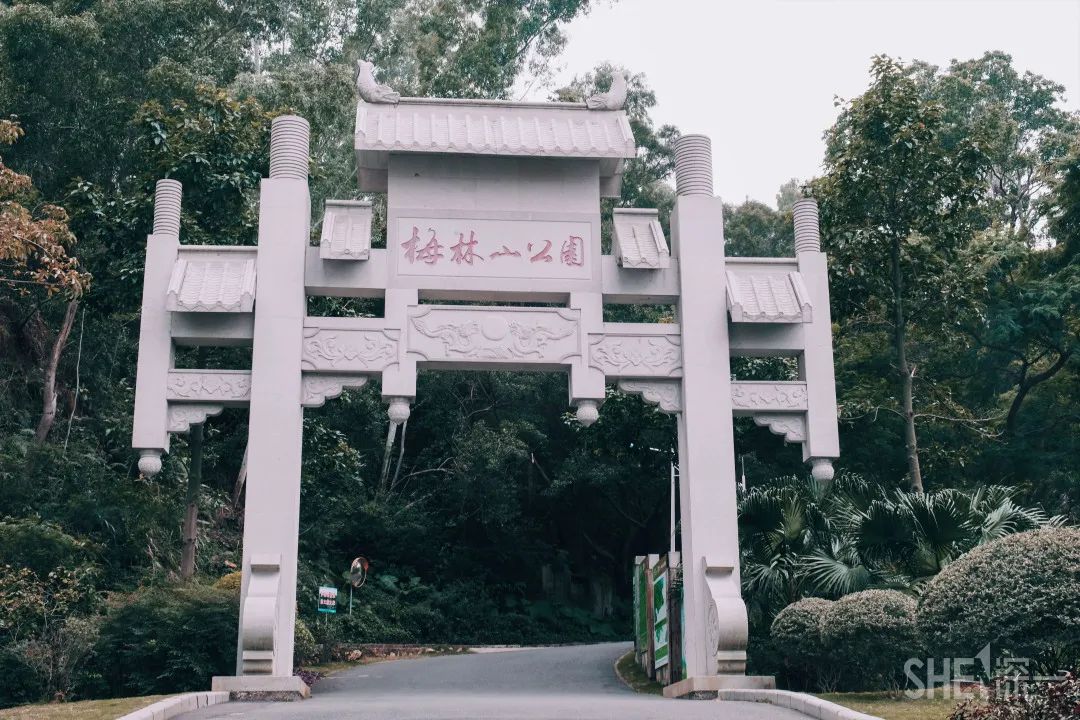 疫情期间免费开放的公园,疫情期间开放的公园有哪些