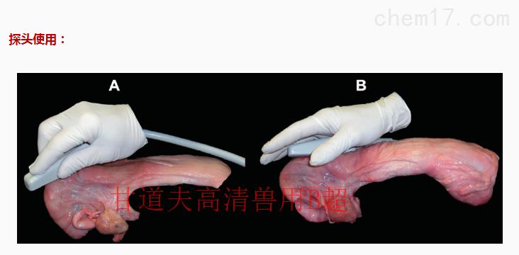 兽用b超机怎么测试猪怀孕,兽用b超机如何看母猪怀孕