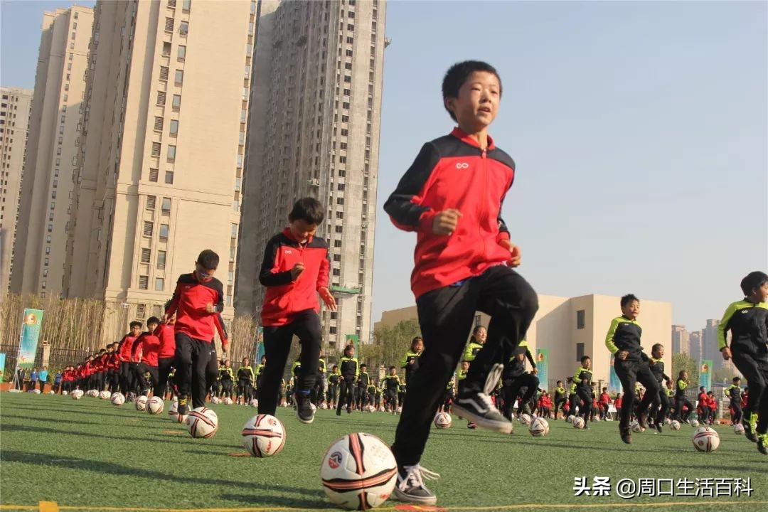 河南省校园足球赛大学组,河南省足球锦标赛初中组