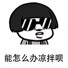 bioisland官网验真伪,你们要的procreate国风印章