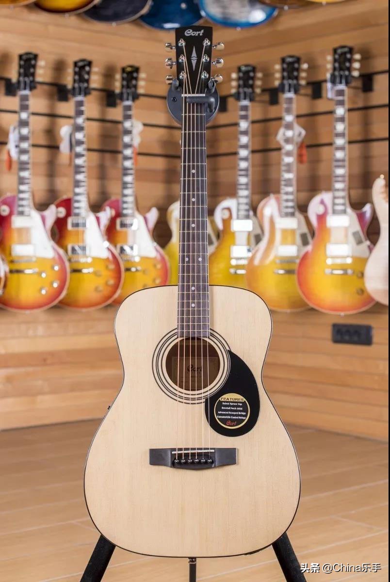 帝声（DIXON）谈琴：AF510，考特产品线中历史悠久的长青系列