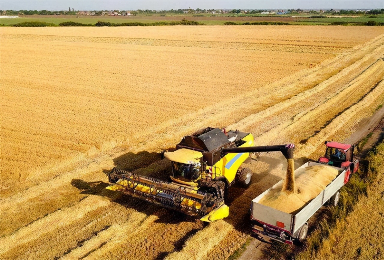 美国操控粮食价格,美国4大粮商与中国打粮食战