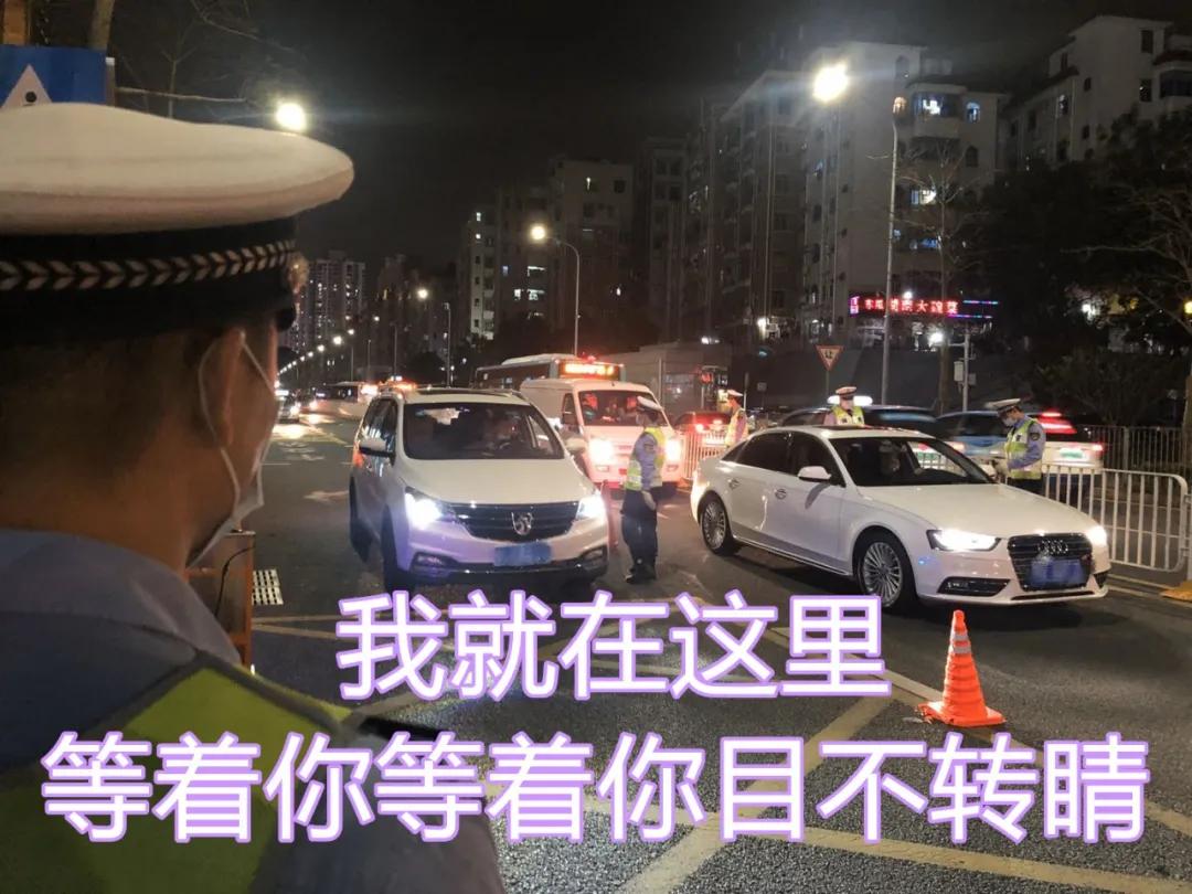 醉猫被逮捕,醉猫被警察抓视频