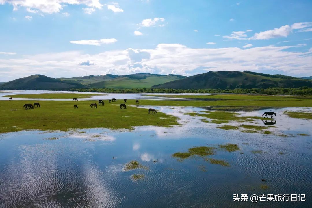 自由行呼伦贝尔七天费用,呼伦贝尔自由行费用