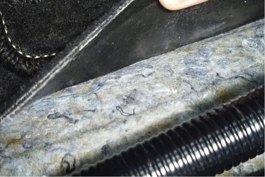 二手法系车的缺点,二手法系车稳定性怎么样