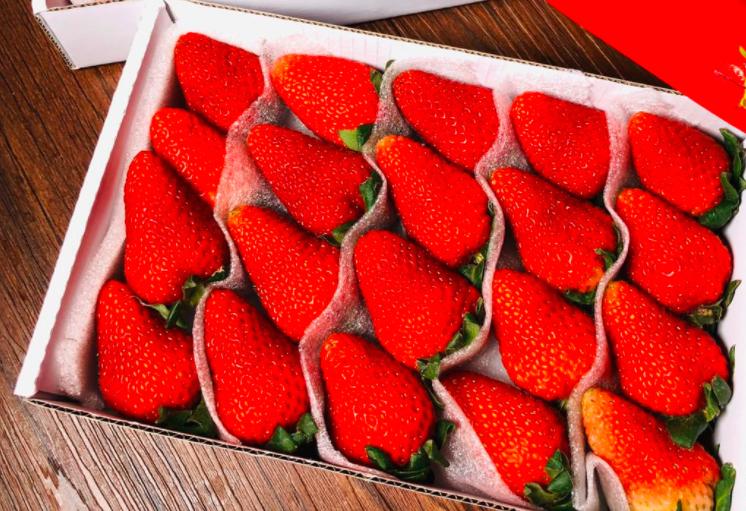 消暑水果帮你轻松过大暑,夏天吃什么水果降暑养胃效果好