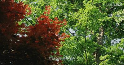 中式风格千万豪宅,中式家居豪宅