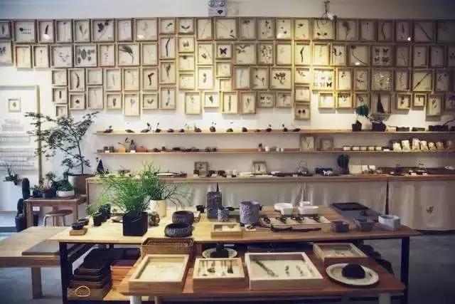 成都近郊10个免费景点,成都小众景点推荐