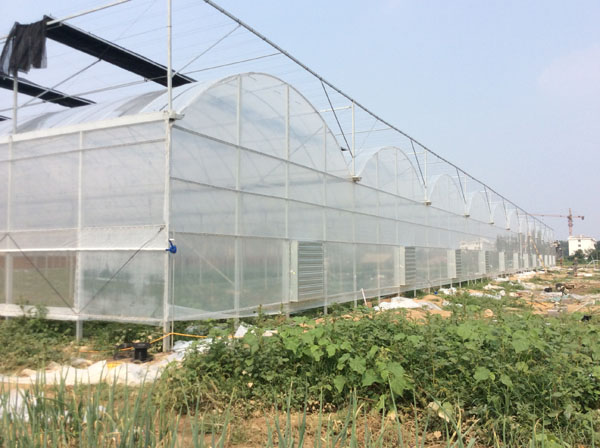 小构件大作用,薄膜大棚M撑简介