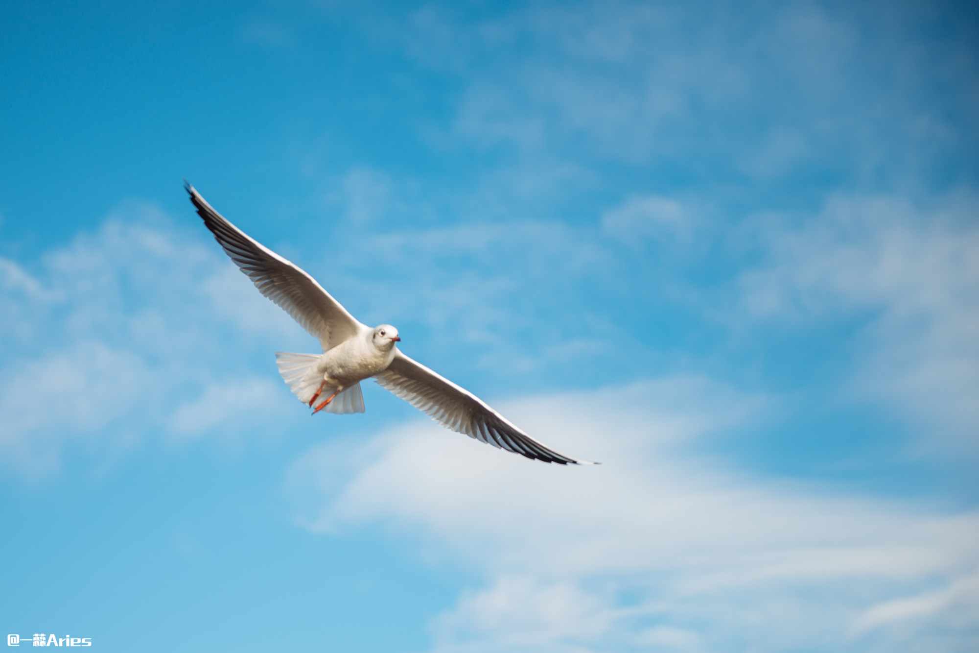 大理环洱海自驾游最佳攻略,大理环海岸线自驾游